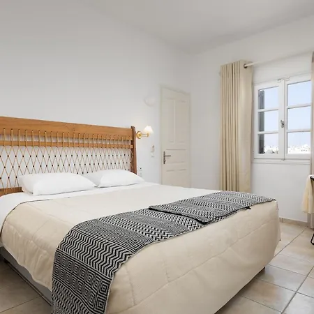 艾斯特纳克索斯酒店 4* Naxos City