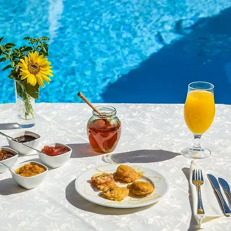 Astir Of Naxos 호텔 Naxos City