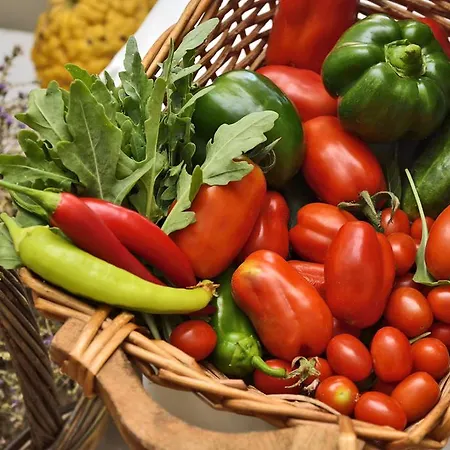 Astir Of Naxos 4* Naxos City