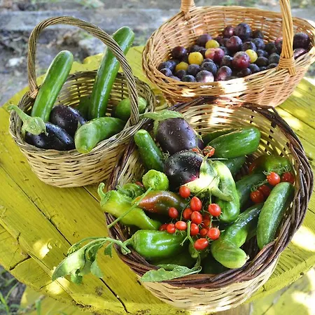 호텔 Astir Of Naxos 4*