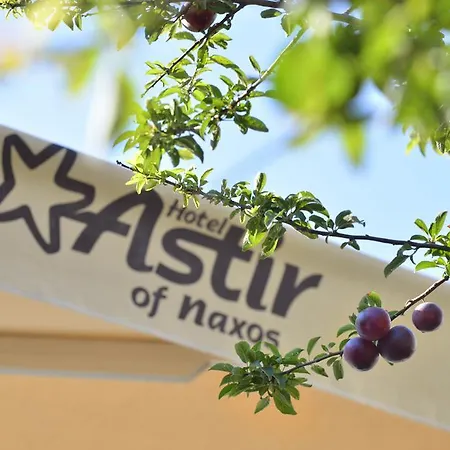 Astir Of Naxos Otel