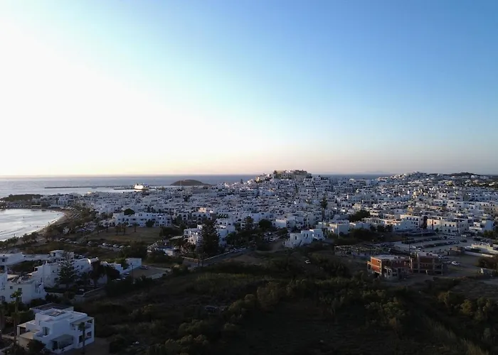 Astir Of Naxos Otel 4*