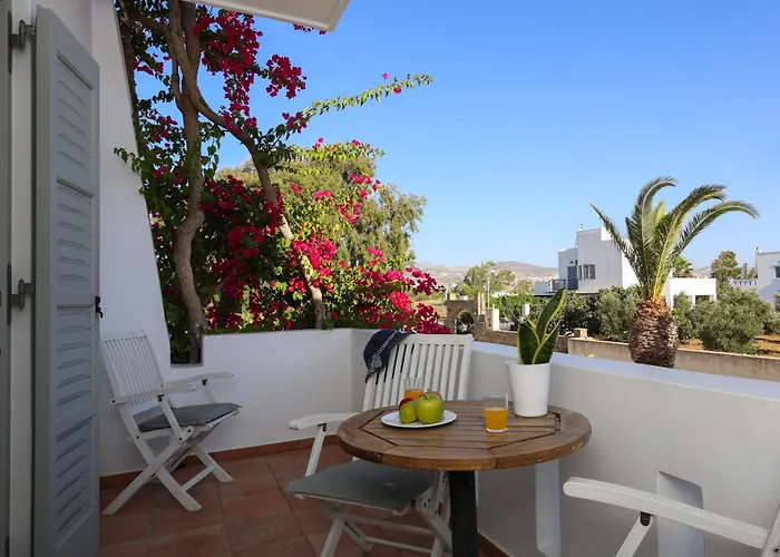 Astir Of Naxos Otel Naxos City