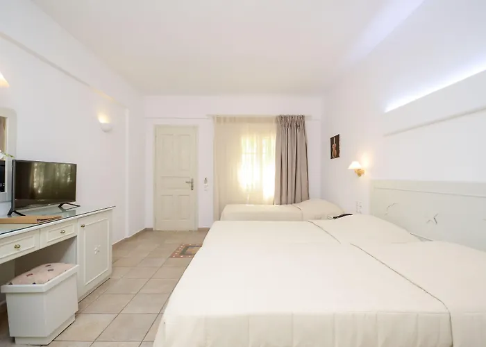 Astir Of Naxos Naxos City