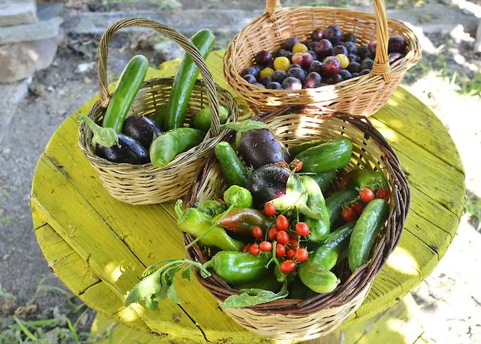 Otel Astir Of Naxos 4*