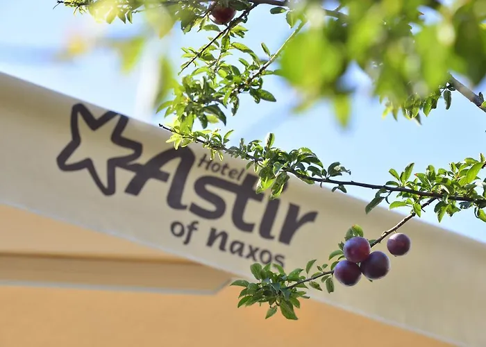 Astir Of Naxos מלון
