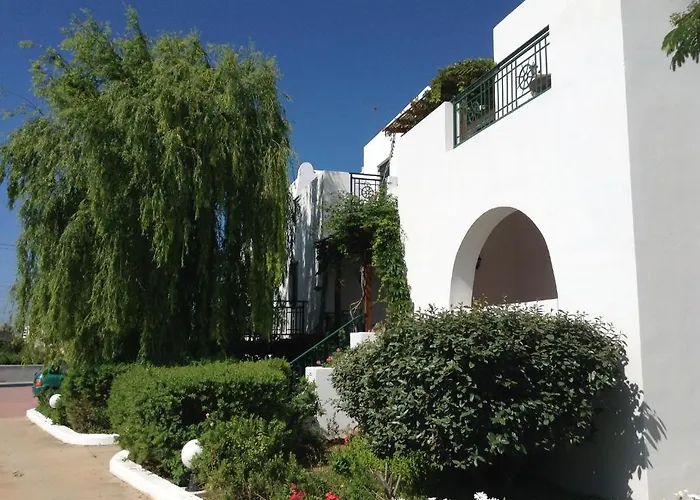 Astir Of Naxos מלון 4*